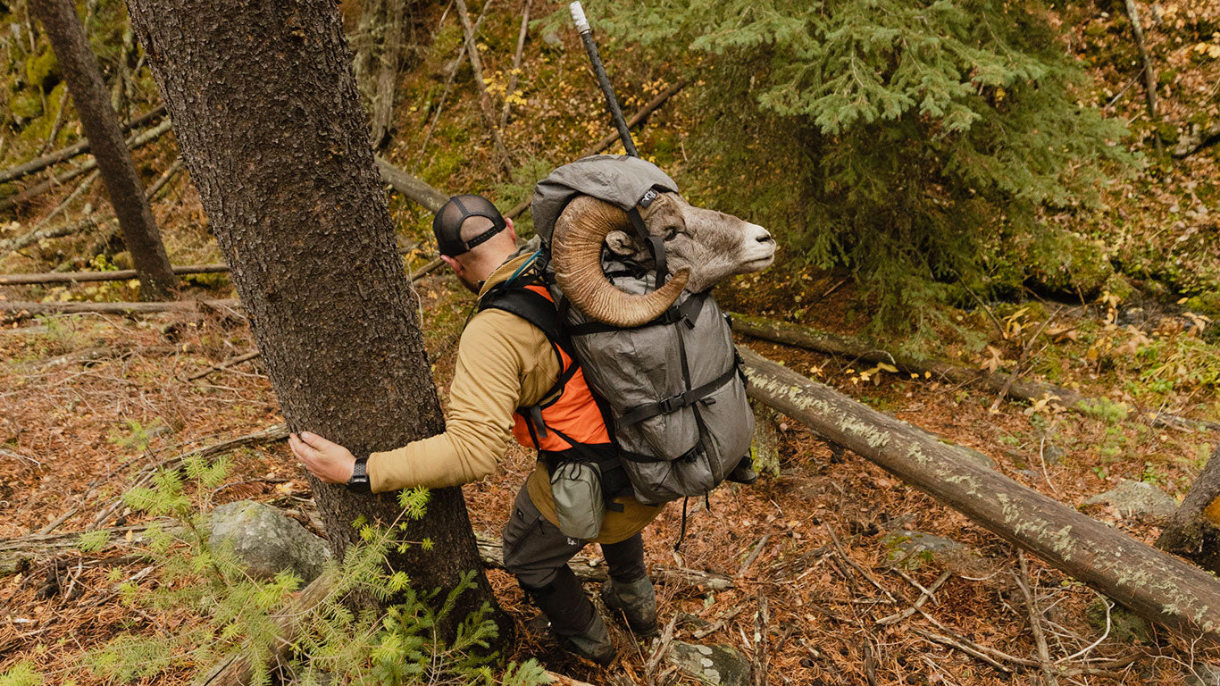 Sheep on sale hunting backpack