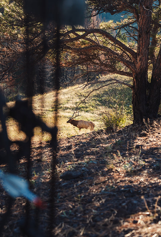 Quiet bowhunting archery gear